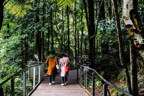 All-Inclusive Blue Mountains Day Trip With River Cruise - Find Attractions 10