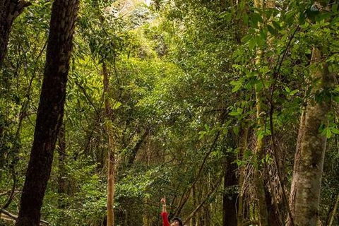 All-Inclusive Blue Mountains Day Trip With River Cruise - Find Attractions 26