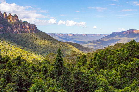 All-Inclusive Blue Mountains Day Trip With River Cruise - Find Attractions 28