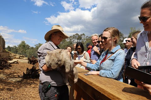 All-Inclusive Blue Mountains Day Trip With River Cruise - Find Attractions 27