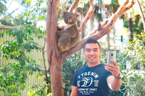 All Inclusive Full-Day Blue Mountains Trip From Sydney - Find Attractions 1