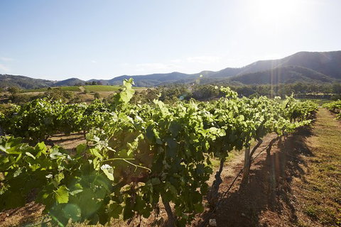 Scenic Hunter Valley Winery Tour With Boutique Wineries & Local Cheese - Find Attractions 6