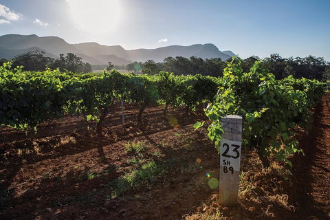 Scenic Hunter Valley Winery Tour With Boutique Wineries & Local Cheese - Find Attractions 9