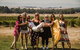 Scenic Hunter Valley Winery Tour With Boutique Wineries & Local Cheese - thumb 3