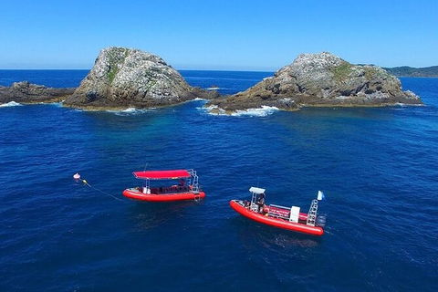 3-Hour Sea Turtle Snorkeling Experience In Byron Bay - Find Attractions 8