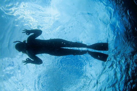 3-Hour Sea Turtle Snorkeling Experience In Byron Bay - Find Attractions 9