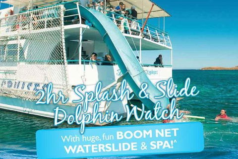 Port Stephens Dolphin Watching Cruise Including Splash And Slide - Find Attractions 0