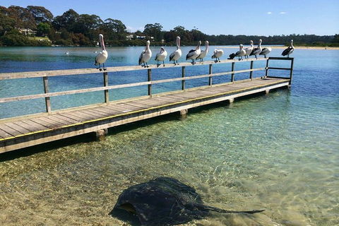 The Eurobodalla Experience (Full Day Private Tour Including Lunch) - Find Attractions 0