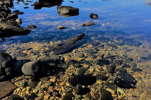 The Eurobodalla Experience (Full Day Private Tour Including Lunch) - Find Attractions 14