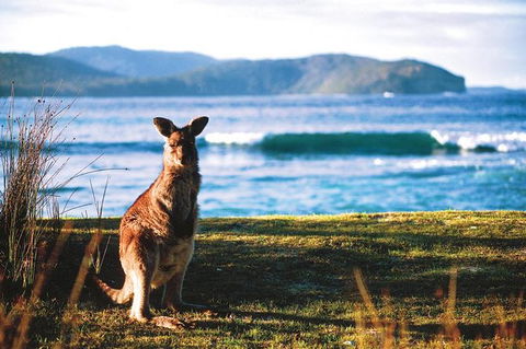 The Eurobodalla Experience (Full Day Private Tour Including Lunch) - Find Attractions 7