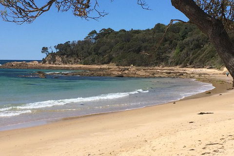 The Eurobodalla Experience (Full Day Private Tour Including Lunch) - Find Attractions 13