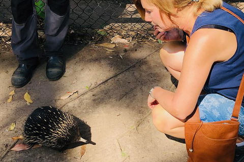 The Eurobodalla Experience (Full Day Private Tour Including Lunch) - Find Attractions 18