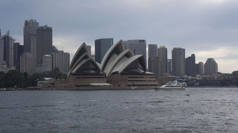 Sydney Whale-Watching Cruise Including Lunch Or Breakfast - Find Attractions 10