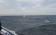 Sydney Whale-Watching Cruise Including Lunch Or Breakfast - thumb 8