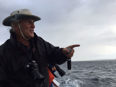 Sydney Whale-Watching Cruise Including Lunch Or Breakfast - Find Attractions 7