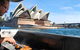 Sydney Whale-Watching Cruise Including Lunch Or Breakfast - thumb 19