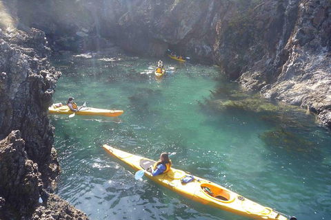 Batemans Bay Full Day Sea Kayak Tour With Beach Picnic Lunch - Find Attractions 5