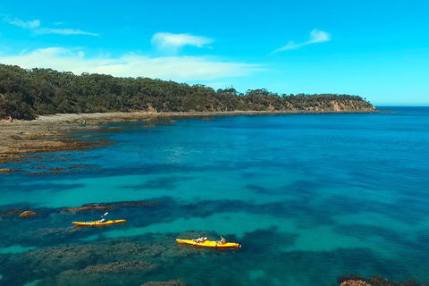 Batemans Bay Full Day Sea Kayak Tour With Beach Picnic Lunch - Find Attractions 7