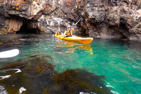 Batemans Bay Full Day Sea Kayak Tour With Beach Picnic Lunch - Find Attractions 2