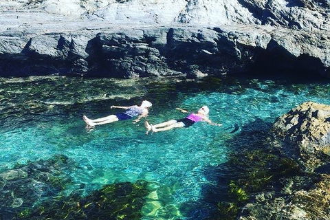 Batemans Bay Full Day Sea Kayak Tour With Beach Picnic Lunch - Find Attractions 6