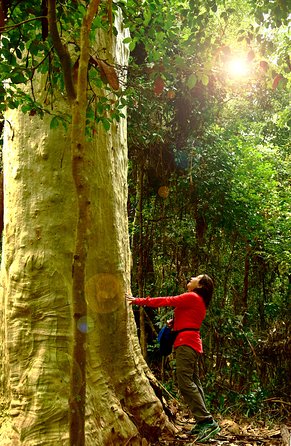 3 Day Murramarang Coast Journey From Batemans Bay With Meals And Villa Accom - Find Attractions 4