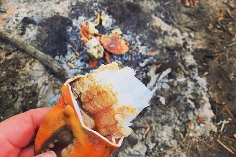 Pot To Plate Adventure - Find Attractions 4