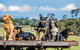 Private Tobruk Sheep Station Day Tour From Sydney Including BBQ Lunch - thumb 4