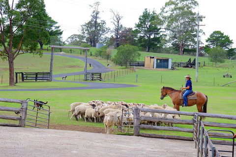 Private Tobruk Sheep Station Day Tour From Sydney Including BBQ Lunch - Find Attractions 6