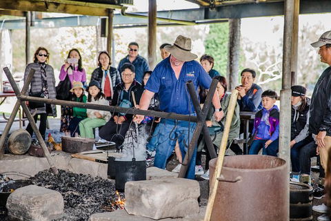 Private Tobruk Sheep Station Day Tour From Sydney Including BBQ Lunch - Find Attractions 2
