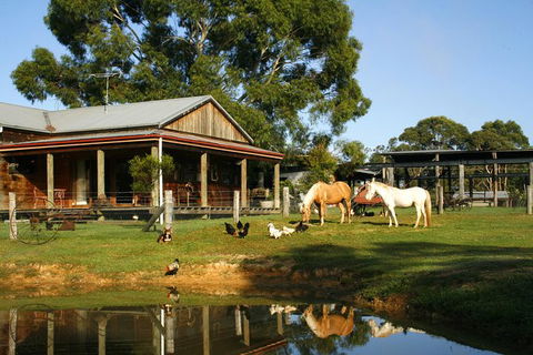 Private Tobruk Sheep Station Day Tour From Sydney Including BBQ Lunch - Find Attractions 5