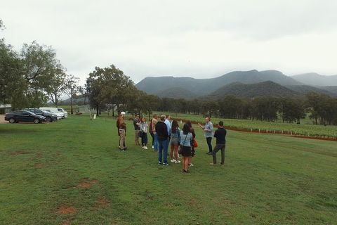Hunter Valley Private Tour Including Wine, Chocolate, Cheese, Vodka, Gin Tasting - Find Attractions 10