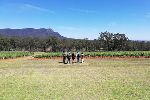 Hunter Valley Private Tour Including Wine, Chocolate, Cheese, Vodka, Gin Tasting - Find Attractions 4
