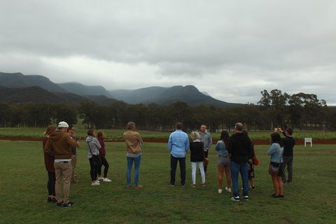 Hunter Valley Private Tour Including Wine, Chocolate, Cheese, Vodka, Gin Tasting - Find Attractions 3