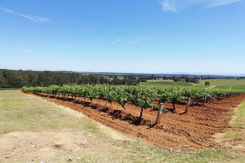 Hunter Valley Private Tour Including Wine, Chocolate, Cheese, Vodka, Gin Tasting - Find Attractions 16