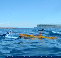 Whale Watching by Sea Kayak in Batemans Bay - Find Attractions