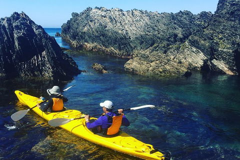 Half Day Sea Kayak Tour From Batemans Bay - Find Attractions 1