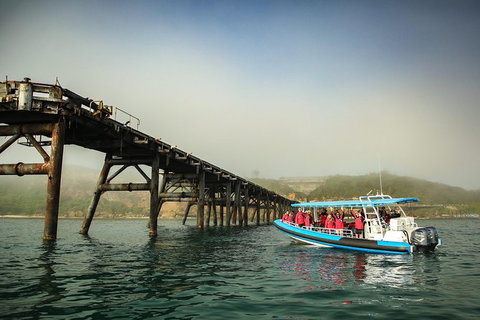 Hunter Coastal Adventure Tour By Boat From Newcastle - Find Attractions 1