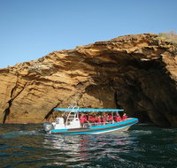 Hunter Coastal Adventure Tour by Boat from Newcastle - Find Attractions