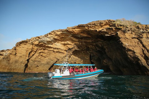 Hunter Coastal Adventure Tour By Boat From Newcastle - Find Attractions 0