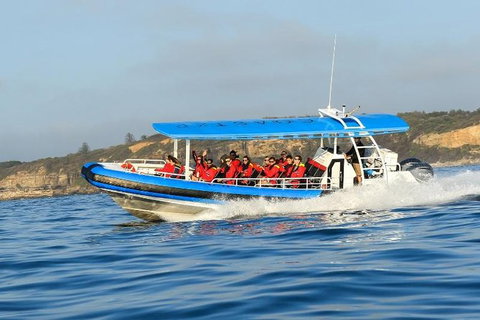 Hunter Coastal Adventure Tour By Boat From Newcastle - Find Attractions 3