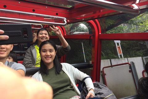 All-Day Blue Mountains Private Tour With Professional Guide For Up To 4 People - Find Attractions 15