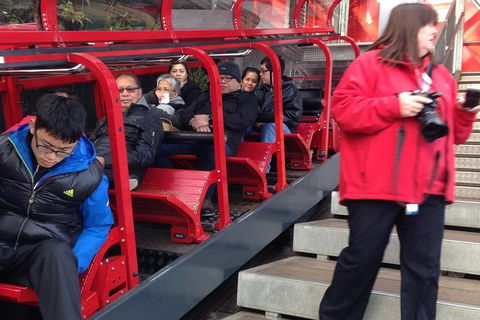 All-Day Blue Mountains Private Tour With Professional Guide For Up To 4 People - Find Attractions 8