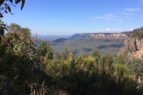 All-Day Blue Mountains Private Tour With Professional Guide For Up To 4 People - Find Attractions 4