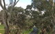 All-Day Blue Mountains Private Tour With Professional Guide For Up To 4 People - thumb 22