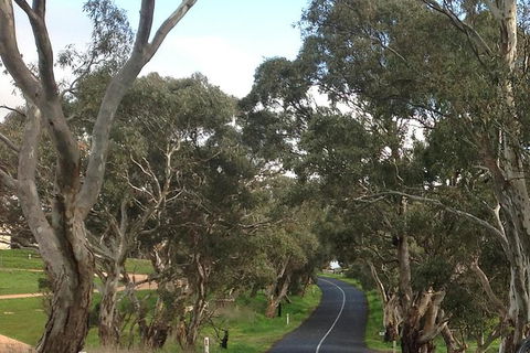 All-Day Blue Mountains Private Tour With Professional Guide For Up To 4 People - Find Attractions 22