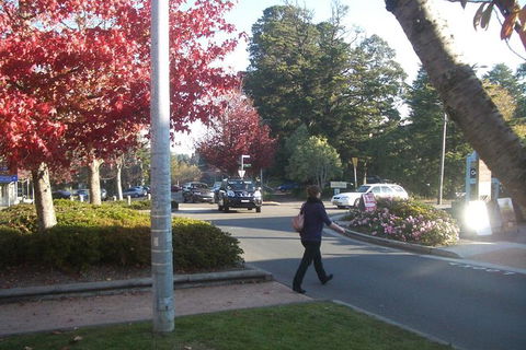 All-Day Blue Mountains Private Tour With Professional Guide For Up To 4 People - Find Attractions 12