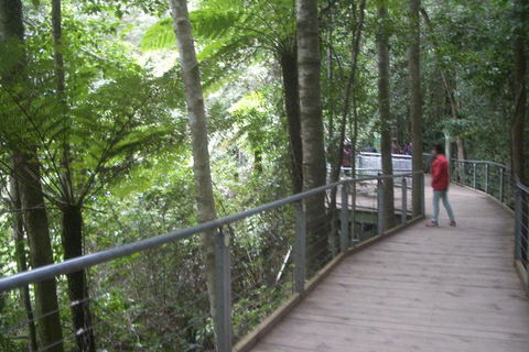 All-Day Blue Mountains Private Tour With Professional Guide For Up To 4 People - Find Attractions 20