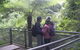 All-Day Blue Mountains Private Tour With Professional Guide For Up To 4 People - thumb 19