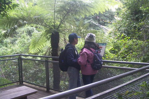All-Day Blue Mountains Private Tour With Professional Guide For Up To 4 People - Find Attractions 19