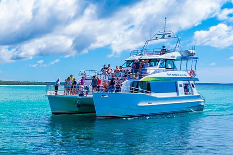 Jervis Bay Whale Watching Tour - Find Attractions 2